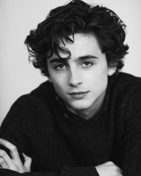 Timothee-Chalamet-posing-for-a-shoot