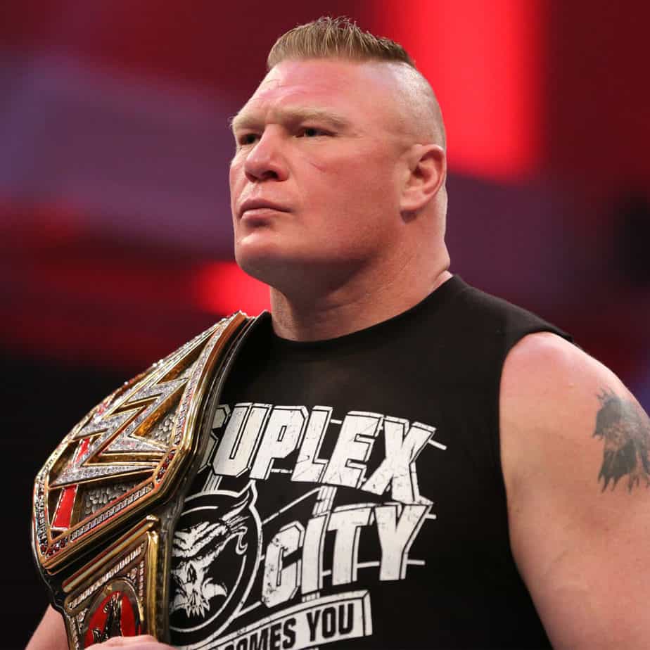 Brock Lesnar in the ring