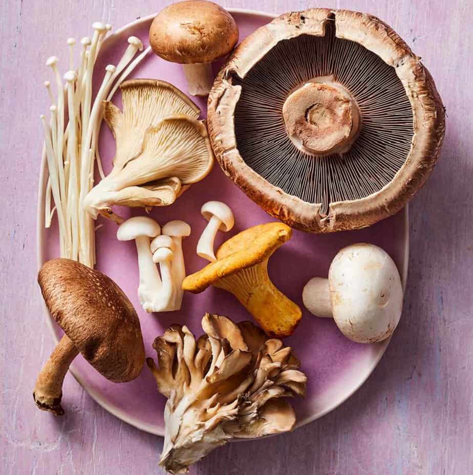 Portobello Mushrooms Controversy